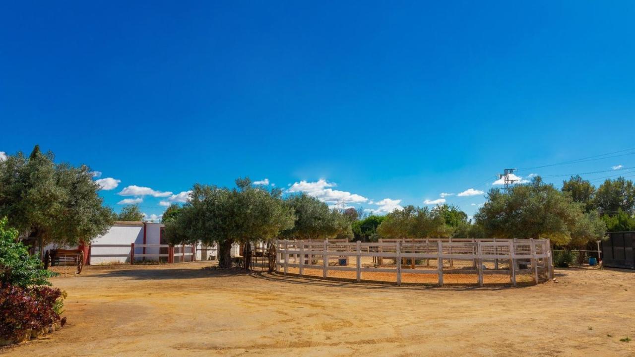 Finca La Canera Alcala De Guadaira By Ruralidays מראה חיצוני תמונה